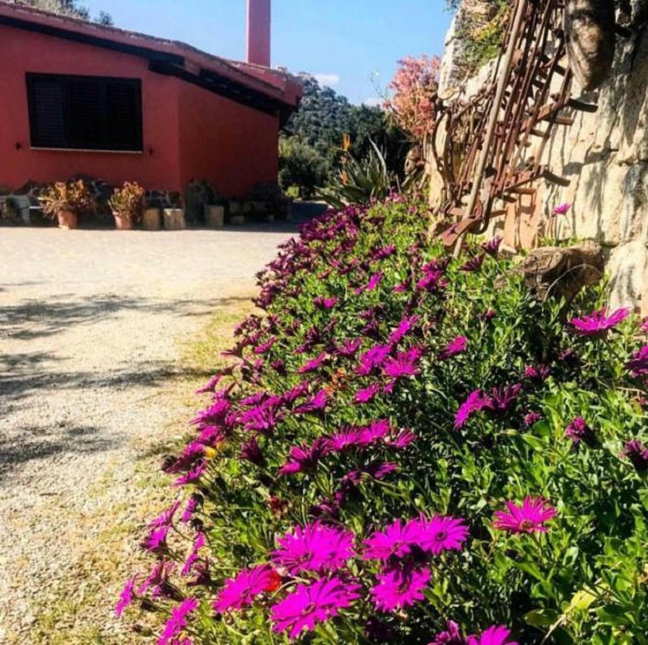 Agriturismo Su Barraccu Vila Loceri Exterior foto